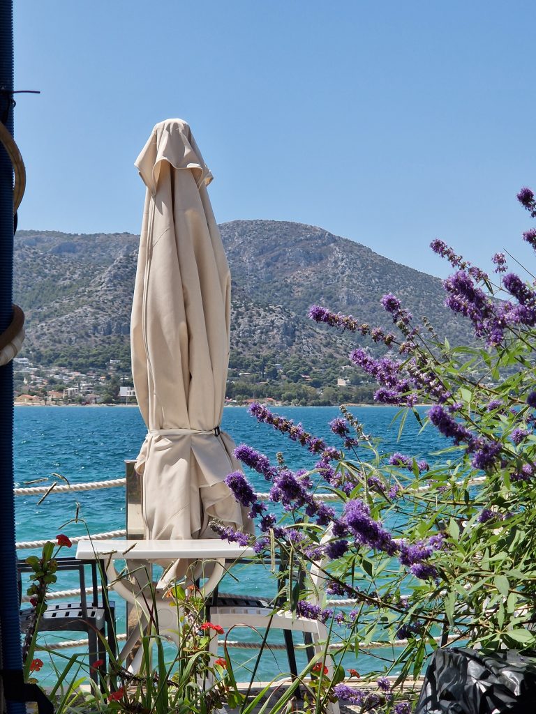 liotrivi-burger-pasta-gril